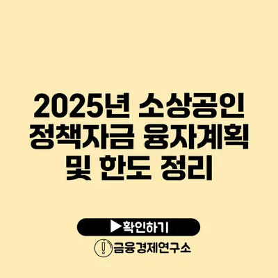 2025년 소상공인 정책자금 융자계획 및 한도 정리