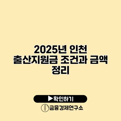 2025년 인천 출산지원금 조건과 금액 정리