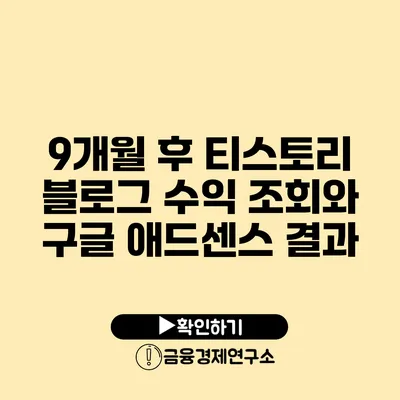 9개월 후 티스토리 블로그 수익 조회와 구글 애드센스 결과