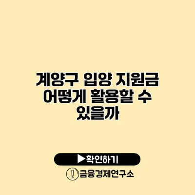 계양구 입양 지원금 어떻게 활용할 수 있을까?