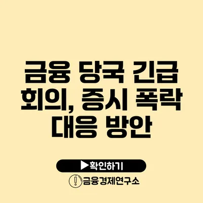 금융 당국 긴급 회의, 증시 폭락 대응 방안