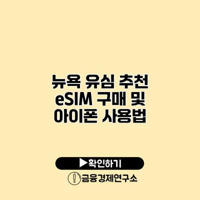 뉴욕 유심 추천 eSIM 구매 및 아이폰 사용법