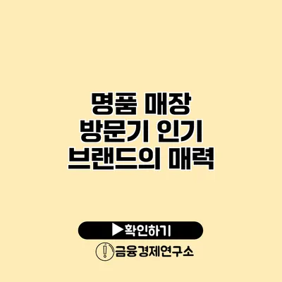 명품 매장 방문기 인기 브랜드의 매력