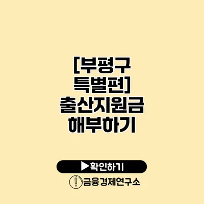 [부평구 특별편] 출산지원금 해부하기