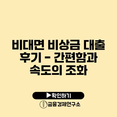 비대면 비상금 대출 후기 - 간편함과 속도의 조화