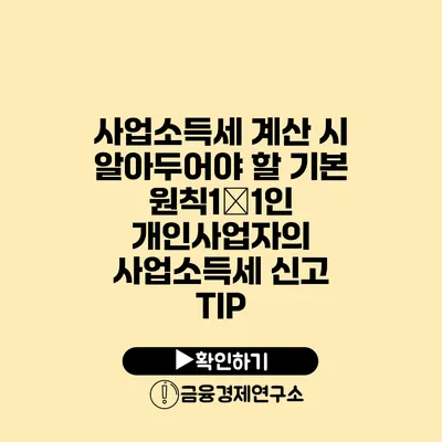 사업소득세 계산 시 알아두어야 할 기본 원칙1�1인 개인사업자의 사업소득세 신고 TIP