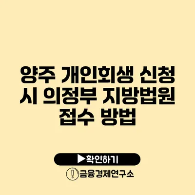 양주 개인회생 신청 시 의정부 지방법원 접수 방법