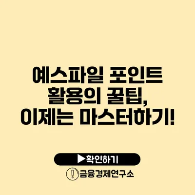 예스파일 포인트 활용의 꿀팁, 이제는 마스터하기!