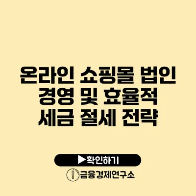 온라인 쇼핑몰 법인 경영 및 효율적 세금 절세 전략