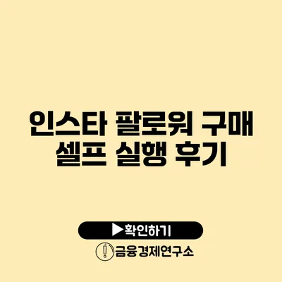 인스타 팔로워 구매 셀프 실행 후기
