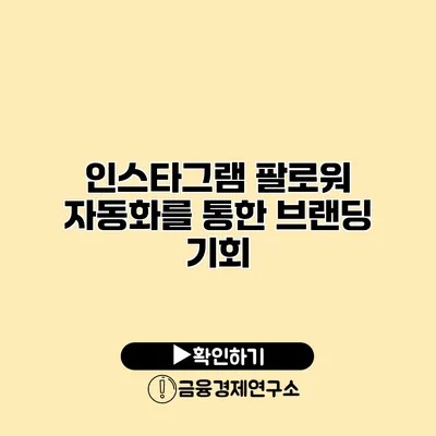 인스타그램 팔로워 자동화를 통한 브랜딩 기회