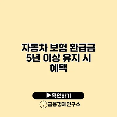 자동차 보험 환급금 5년 이상 유지 시 혜택