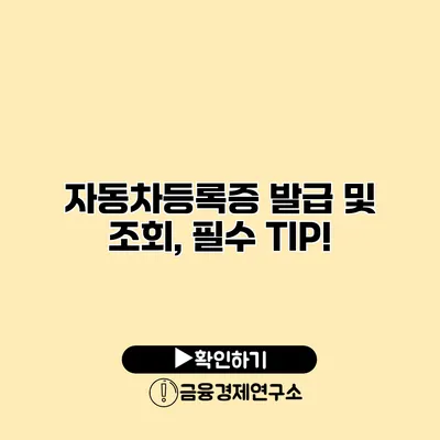 자동차등록증 발급 및 조회, 필수 TIP!