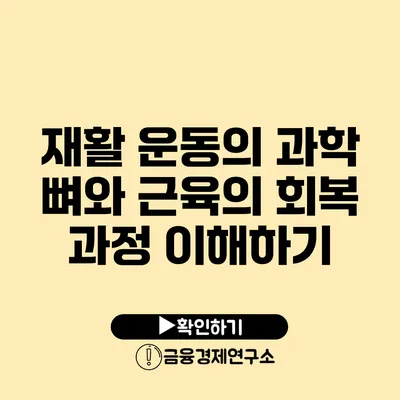 재활 운동의 과학 뼈와 근육의 회복 과정 이해하기