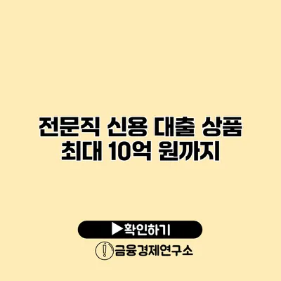 전문직 신용 대출 상품 최대 10억 원까지