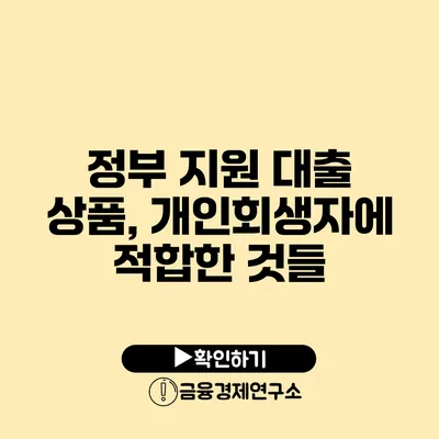 정부 지원 대출 상품, 개인회생자에 적합한 것들