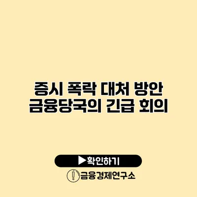 증시 폭락 대처 방안 금융당국의 긴급 회의
