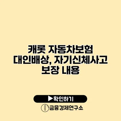 캐롯 자동차보험 대인배상, 자기신체사고 보장 내용