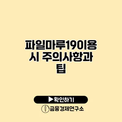 파일마루19이용 시 주의사항과 팁