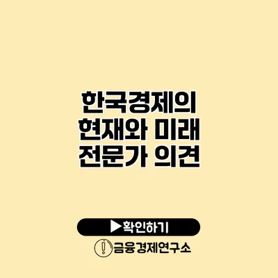 한국경제의 현재와 미래 전문가 의견