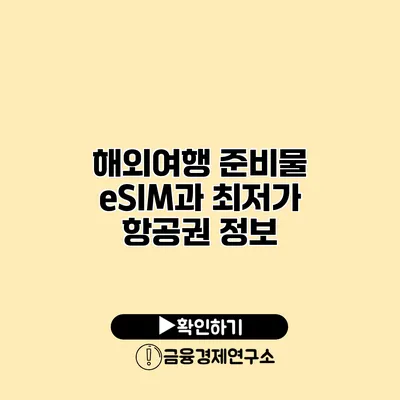 해외여행 준비물 eSIM과 최저가 항공권 정보