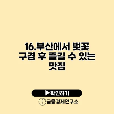 16.부산에서 벚꽃 구경 후 즐길 수 있는 맛집