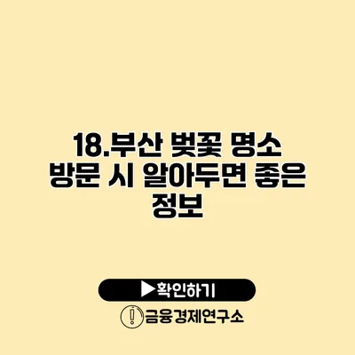 18.부산 벚꽃 명소 방문 시 알아두면 좋은 정보