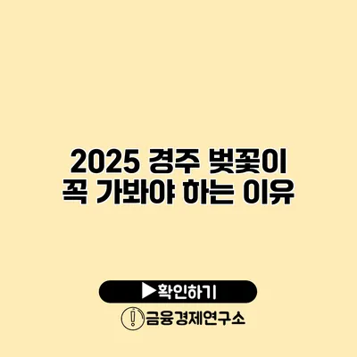 2025 경주 벚꽃이 꼭 가봐야 하는 이유