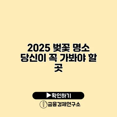 2025 벚꽃 명소 당신이 꼭 가봐야 할 곳