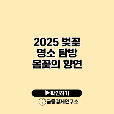 2025 벚꽃 명소 탐방 봄꽃의 향연