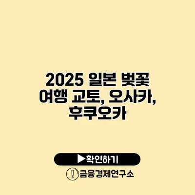 2025 일본 벚꽃 여행 교토, 오사카, 후쿠오카