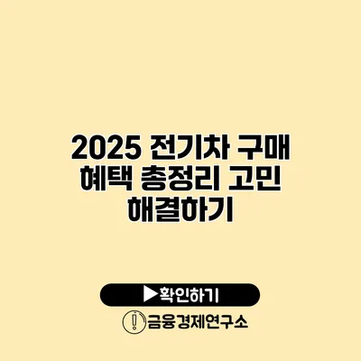 2025 전기차 구매 혜택 총정리 고민 해결하기