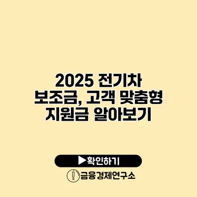 2025 전기차 보조금, 고객 맞춤형 지원금 알아보기