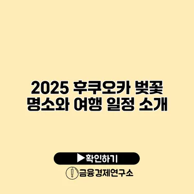 2025 후쿠오카 벚꽃 명소와 여행 일정 소개