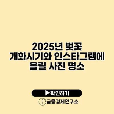 2025년 벚꽃 개화시기와 인스타그램에 올릴 사진 명소