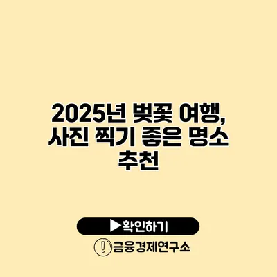 2025년 벚꽃 여행, 사진 찍기 좋은 명소 추천