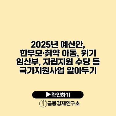 2025년 예산안, 한부모·취약 아동, 위기 임산부, 자립지원 수당 등 국가지원사업 알아두기