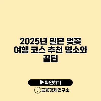 2025년 일본 벚꽃 여행 코스 추천 명소와 꿀팁
