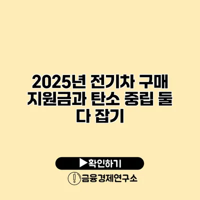 2025년 전기차 구매 지원금과 탄소 중립 둘 다 잡기