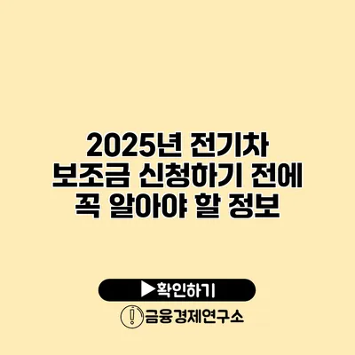 2025년 전기차 보조금 신청하기 전에 꼭 알아야 할 정보