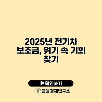 2025년 전기차 보조금, 위기 속 기회 찾기