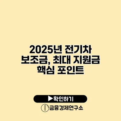 2025년 전기차 보조금, 최대 지원금 핵심 포인트