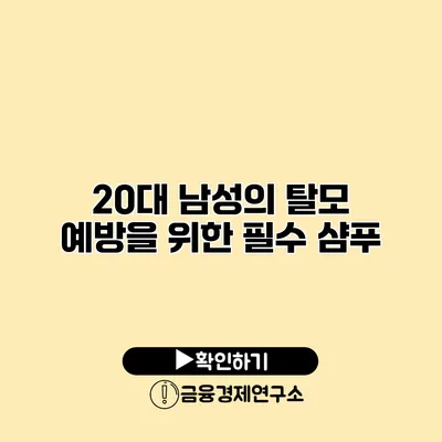 20대 남성의 탈모 예방을 위한 필수 샴푸