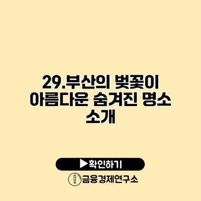 29.부산의 벚꽃이 아름다운 숨겨진 명소 소개