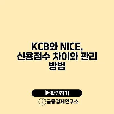 KCB와 NICE, 신용점수 차이와 관리 방법