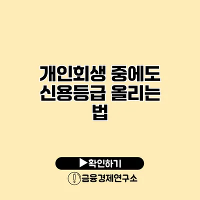 개인회생 중에도 신용등급 올리는 법