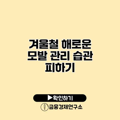 겨울철 해로운 모발 관리 습관 피하기