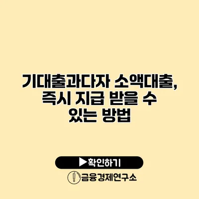 기대출과다자 소액대출, 즉시 지급 받을 수 있는 방법