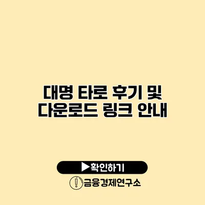 대명 타로 후기 및 다운로드 링크 안내