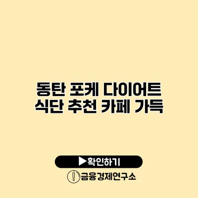 동탄 포케 다이어트 식단 추천 카페 가득